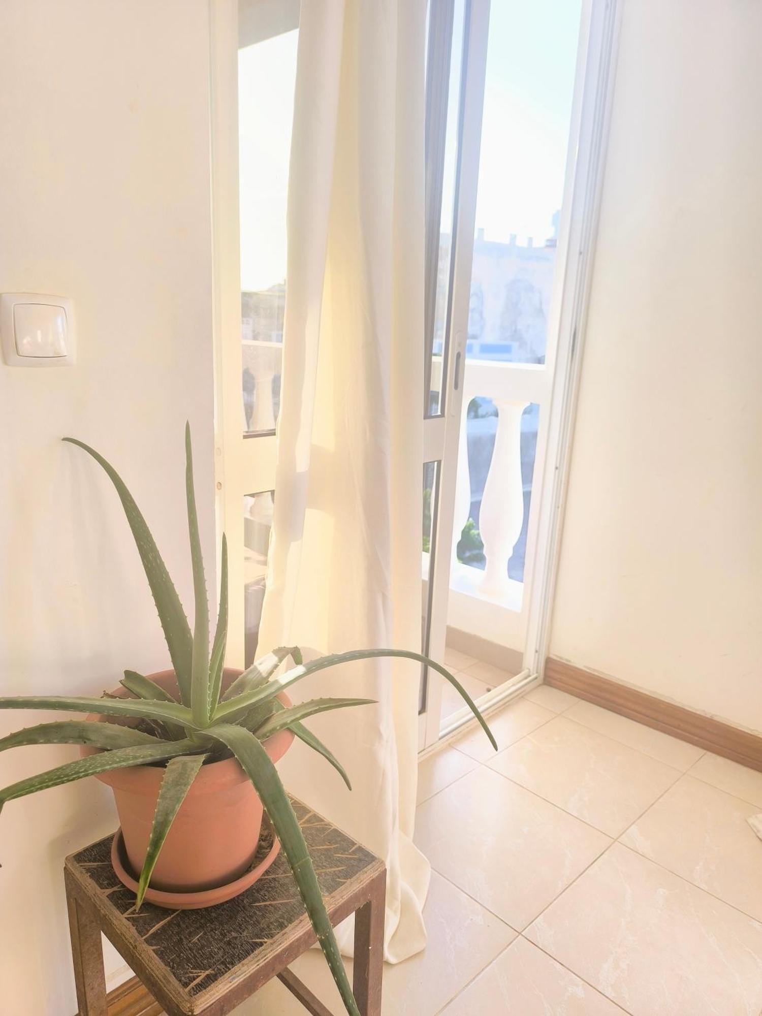 Casa Sofia Apartment Mindelo Ngoại thất bức ảnh